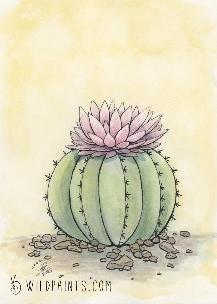 Watercolor and Ink painting of a flowering cactus.