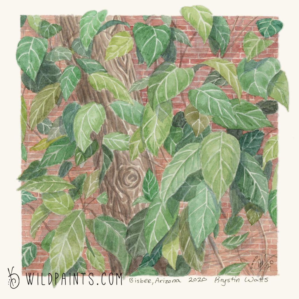 Watercolor painting of green leaves infront of red brick.
