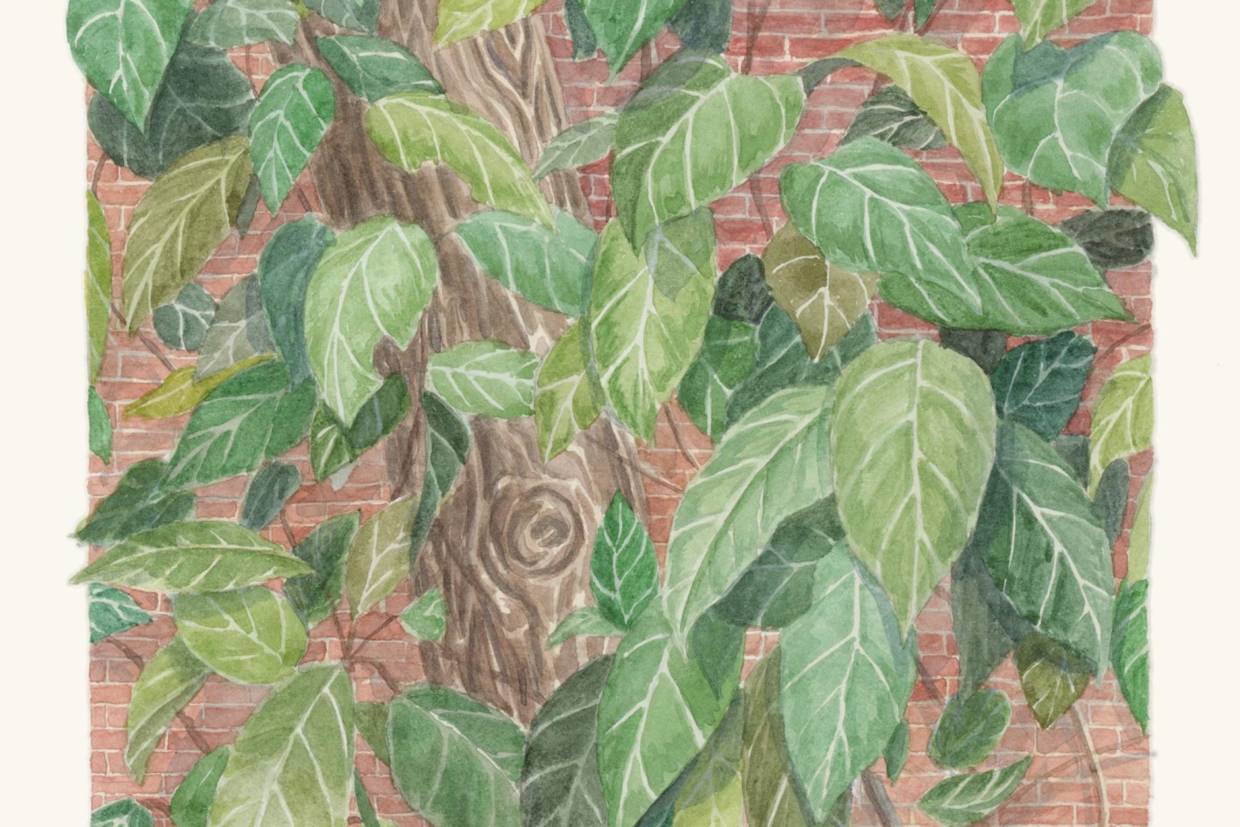 Watercolor painting of green leaves infront of red brick.