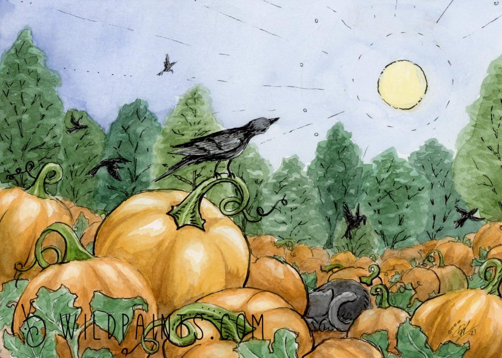 Watercolor and Ink painting of a pumpkin patch and a sleeping kitten