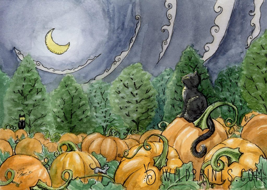 Watercolor and ink painting of a kitten guarding a pumpkin patch.