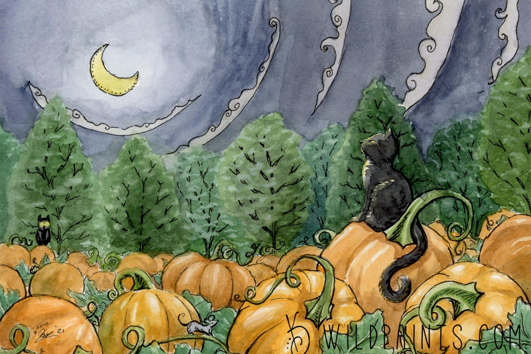 Watercolor and ink painting of a kitten guarding a pumpkin patch.