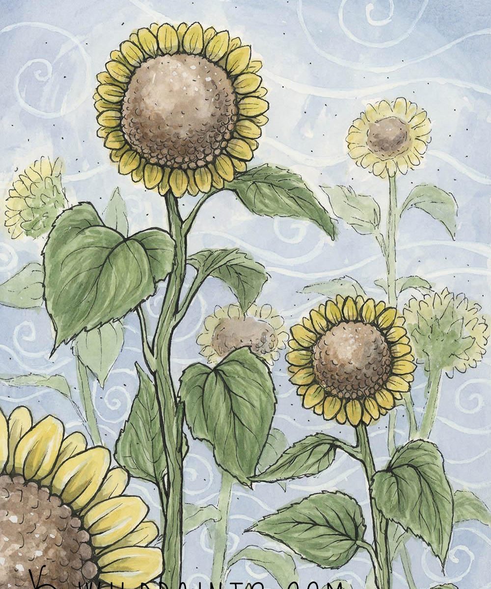 Watercolor painting of Sunflowers in the wind