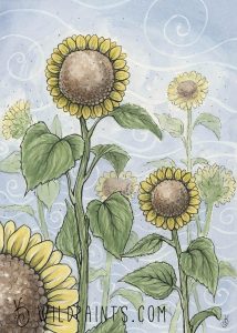 Sunflowers In The Wind