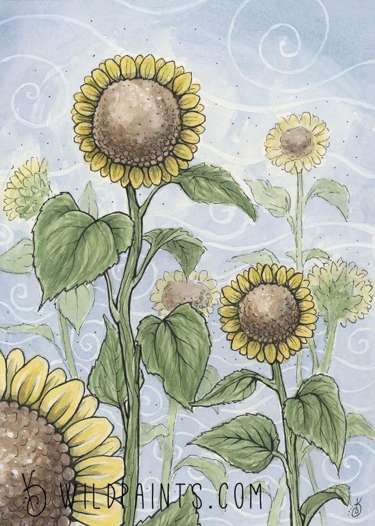Watercolor painting of Sunflowers in the wind