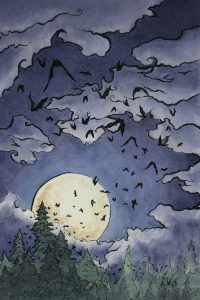 Bats