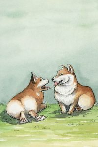 Corgis
