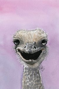 Ostrich