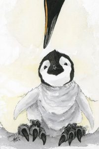 Baby Penguin