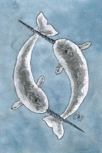 Narwhal