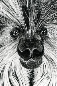 Porcupine