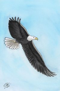 Eagle