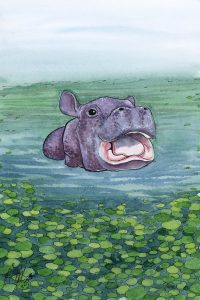 Baby Hippo