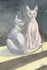 Sphinx Cats