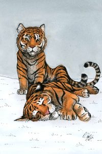 Siberian Tiger