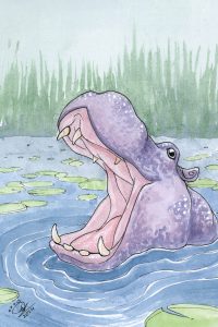 Hippopotamus
