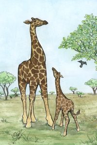 Giraffe