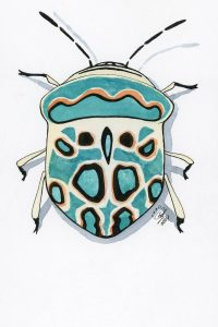 Picasso Bug