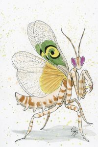 Spiny Flower Mantis