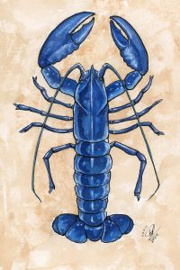 Lobster
