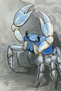 Crab