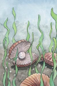 Clam