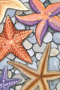 Starfish