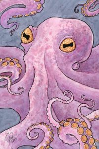 Octopus
