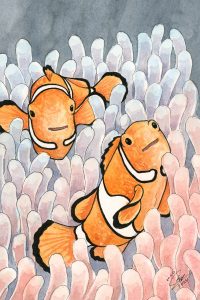 Clownfish