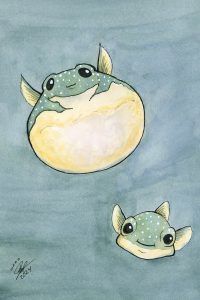 Pufferfish