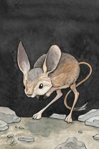 Jerboa