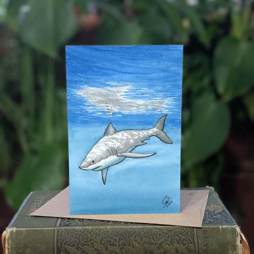 02.04 greatwhiteshark