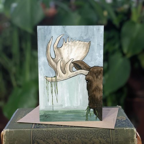 12.03 Moose