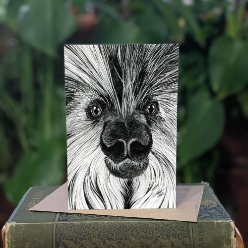 12.04 porcupine