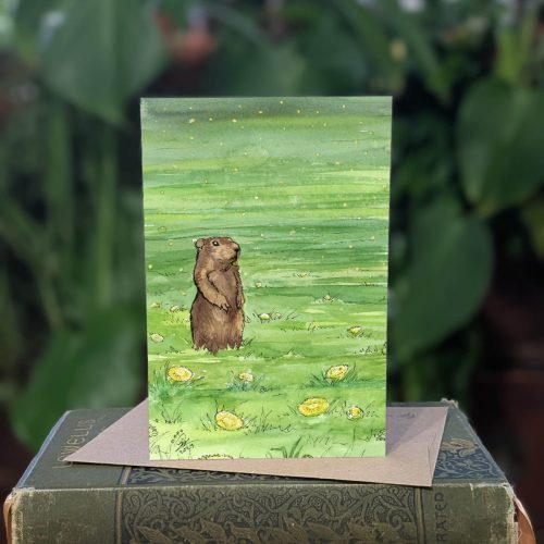 12.24 Groundhog