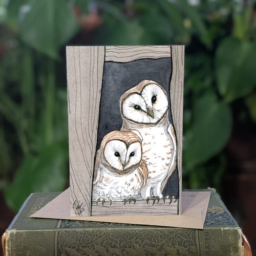 12.25 BarnOwls