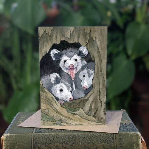 12.7 Opossum