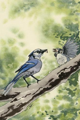 2023 09.23 Bluejay 4x6 web