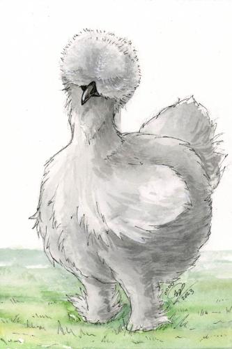 2023 10.08 SilkieHen 4x6 web