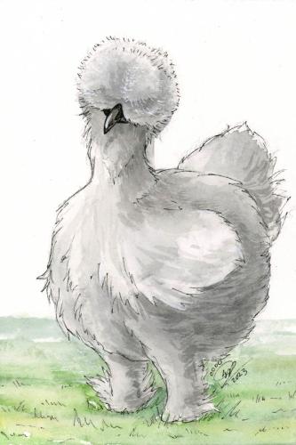 2023 10.08 SilkieHen 4x6 web