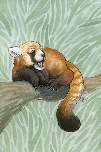 2023 10.16 redpanda 4x6 web