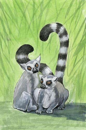 2023 10.19 ringtailedlemur 4x6 web