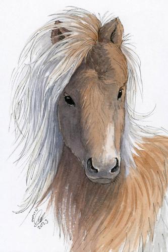 2023 10.31 ShetlandPony 4x6 web