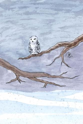2023 11.08 SnowyOwl 4x6 web
