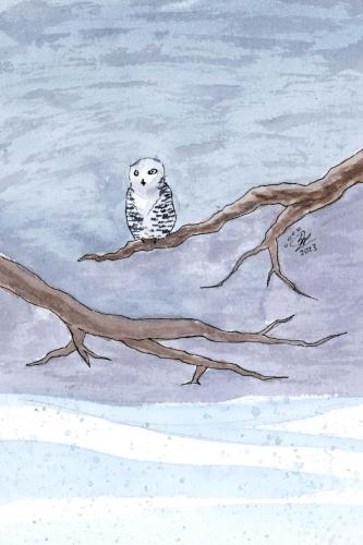 2023 11.08 SnowyOwl 4x6 web