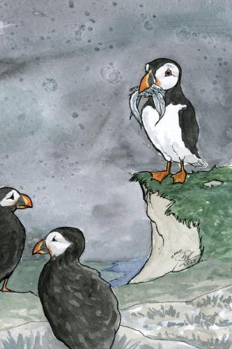 2023 11.24 Puffins 4x6 web