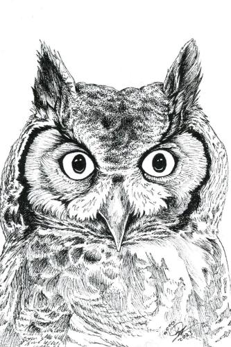 2023 12.17 GreatHornedOwl 4x6 web