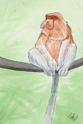 2024 01.11 ProboscisMonkey 4x6 web