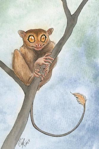 2024 01.12 Tarsier 4x6 web