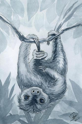 2024 01.16 Sloth 4x6 web